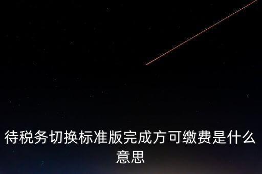 待稅務切換標準版完成方可繳費是什么意思