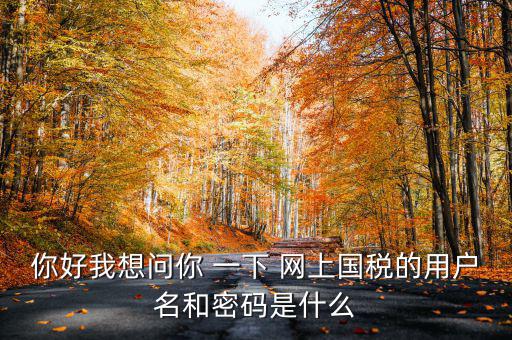 國稅登陸名和密碼是什么意思，國稅第一次網(wǎng)上申報的登陸密碼是什么