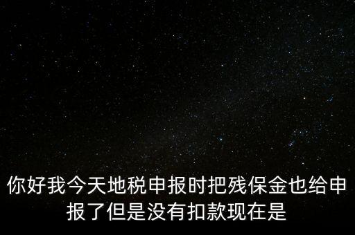 你好我今天地稅申報時把殘保金也給申報了但是沒有扣款現(xiàn)在是