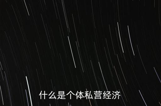 什么是個體私營經(jīng)濟