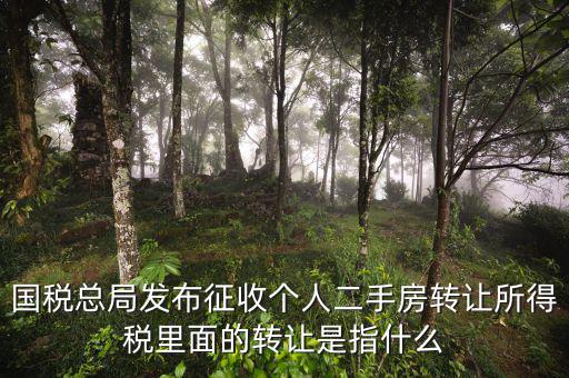稅收轉(zhuǎn)讓是什么，國稅總局發(fā)布征收個(gè)人二手房轉(zhuǎn)讓所得稅里面的轉(zhuǎn)讓是指什么