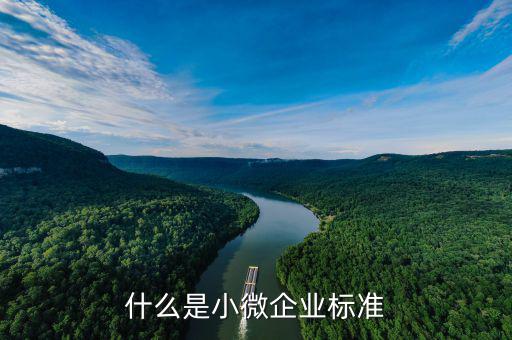 什么是小型微利企業(yè)標(biāo)準(zhǔn)，微小型企業(yè)的標(biāo)準(zhǔn)是什么