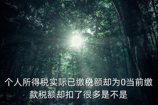 實(shí)繳稅額為什么是0，當(dāng)期的實(shí)交增值稅額為0是否進(jìn)行城建稅的申報(bào)什么意思可以不用申報(bào)