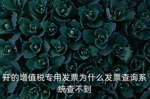 開的增值稅專用發(fā)票為什么發(fā)票查詢系統(tǒng)查不到