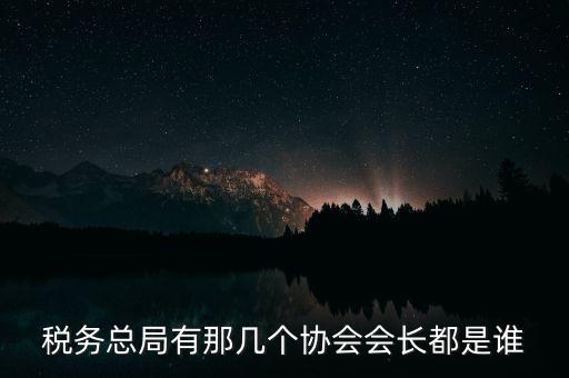 稅務(wù)總局有那幾個(gè)協(xié)會會長都是誰