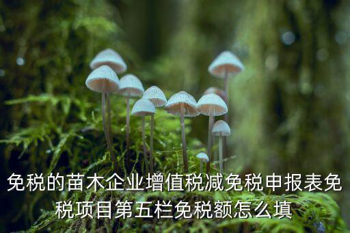 免稅的苗木企業(yè)增值稅減免稅申報表免稅項(xiàng)目第五欄免稅額怎么填