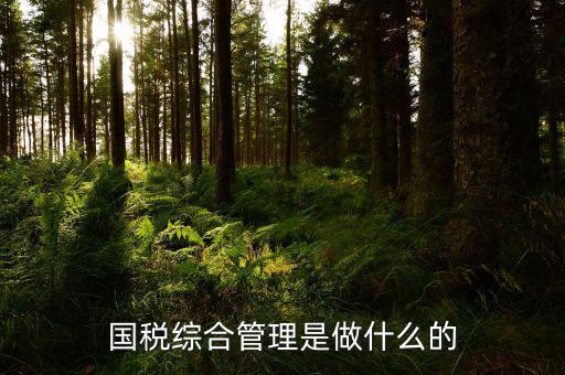 國(guó)稅綜合業(yè)務(wù)是什么，國(guó)稅綜合管理是做什么的