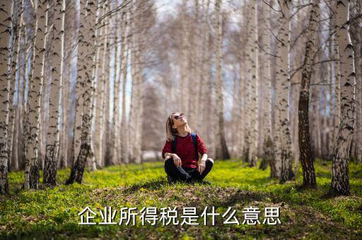 企業(yè)所得稅指的什么意思，什么是企業(yè)所得稅