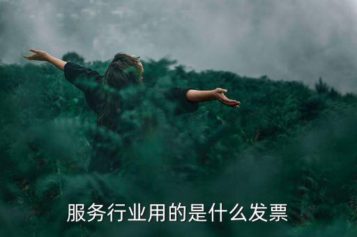 服務(wù)業(yè)發(fā)票是什么發(fā)票，服務(wù)發(fā)票是不是普通發(fā)票的一種