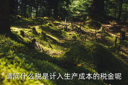 什么稅計(jì)入成本，請問什么稅是計(jì)入生產(chǎn)成本的稅金呢