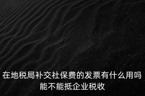 什么稅票能抵消社保費(fèi)用，輪渡費(fèi)后面有一張保險發(fā)票是可以抵扣的