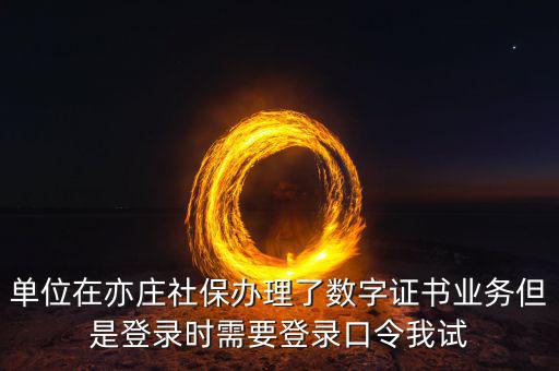 數(shù)字證書(shū)口令是什么，數(shù)字證書(shū)與口令卡是一回事嗎