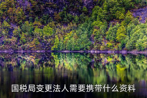 稅務變更法人需要什么資料，國稅局變更法人需要攜帶什么資料