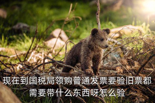 發(fā)票驗(yàn)舊都需要帶什么，現(xiàn)在到國(guó)稅局領(lǐng)購(gòu)普通發(fā)票要驗(yàn)舊票都需要帶什么東西呀怎么驗(yàn)
