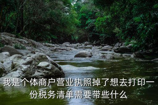 我是個(gè)體商戶營(yíng)業(yè)執(zhí)照掉了想去打印一份稅務(wù)清單需要帶些什么