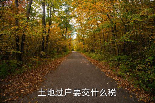 土地買(mǎi)賣(mài)交什么稅，土地買(mǎi)賣(mài)應(yīng)交的稅項(xiàng)
