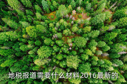 地稅報道需要什么，地稅報稅需要什么資料