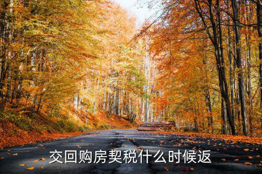 什么時候購的房可以返還契稅，購房契稅何時能退下來