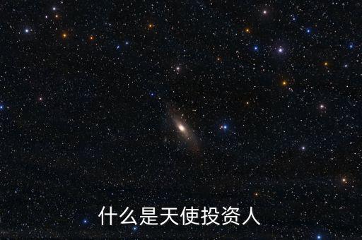 什么叫天使投資個(gè)人，天使投資人什么意思
