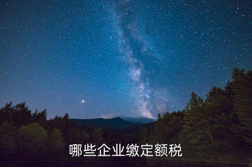 什么公司定額征稅，哪些企業(yè)繳定額稅
