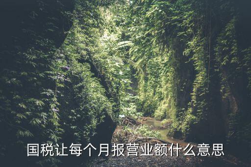 國稅每月報(bào)稅的是什么意思，請(qǐng)問每月抄稅和報(bào)稅各是什么意思