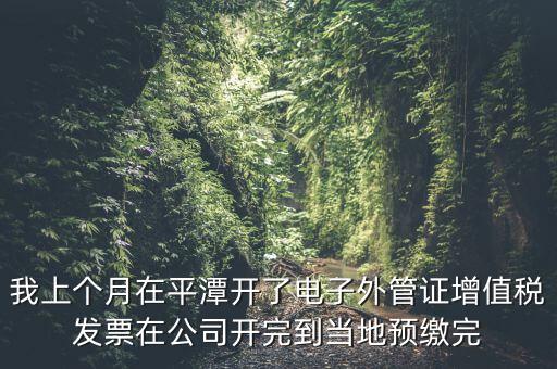 我上個月在平潭開了電子外管證增值稅發(fā)票在公司開完到當?shù)仡A繳完