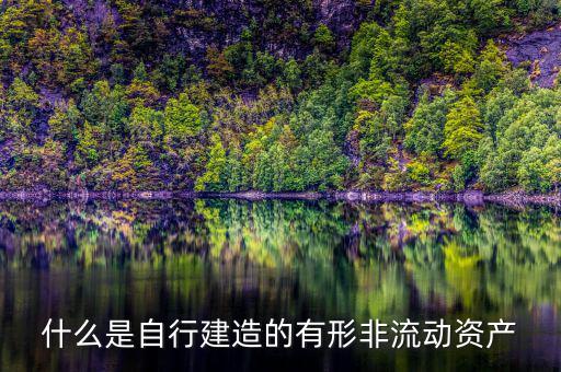 什么叫自建不動(dòng)產(chǎn)，自建不動(dòng)產(chǎn)不共擔(dān)風(fēng)險(xiǎn)的投資行為