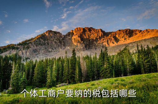 個(gè)體戶需要繳納什么稅，個(gè)體工商戶需要交哪些稅個(gè)體工商戶稅收