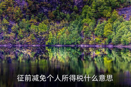 減免所得稅是什么意思，征前減免個人所得稅什么意思