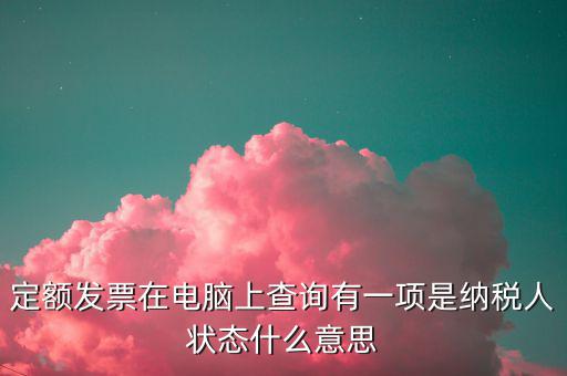 定額發(fā)票在電腦上查詢有一項(xiàng)是納稅人狀態(tài)什么意思