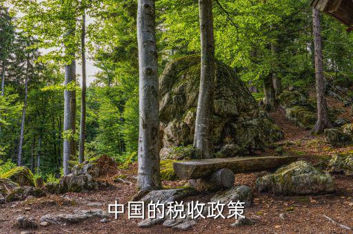 中國稅收政策是什么，我國的稅收政策是什么