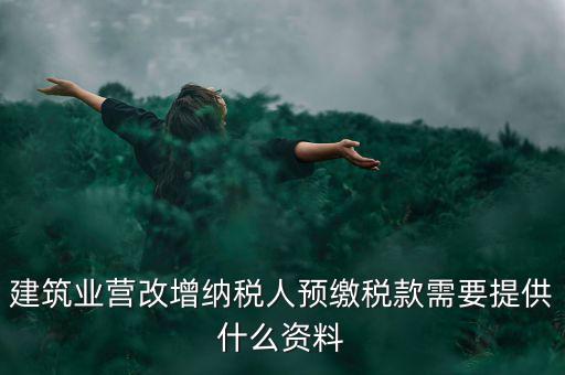 預繳稅款要什么資料，到國稅局預交稅款需要帶什么東西