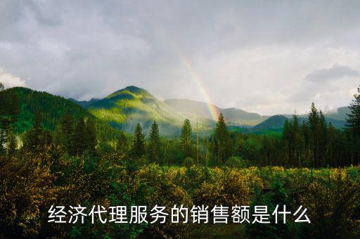 什么是經(jīng)濟(jì)代理，請(qǐng)問(wèn)什么叫經(jīng)濟(jì)合同代理人