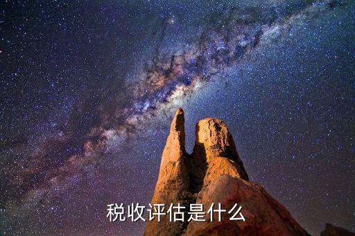 什么叫地稅納稅評估，納稅評估都是評估什么