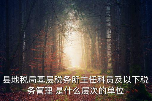 地稅局主任干什么，在地稅局工作寫材料具體是怎么工作