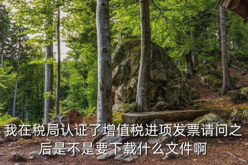 我在稅局認(rèn)證了增值稅進(jìn)項發(fā)票請問之后是不是要下載什么文件啊