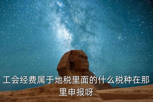 工會活動費中稅是什么，工會經(jīng)費屬于地稅里面的什么稅種在那里申報呀