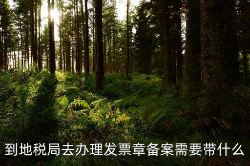 去地稅局備案需要什么，地稅備案需要什么資料