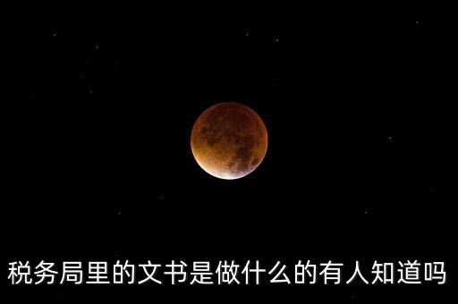 稅務(wù)文書是什么，急需稅務(wù)文書格式