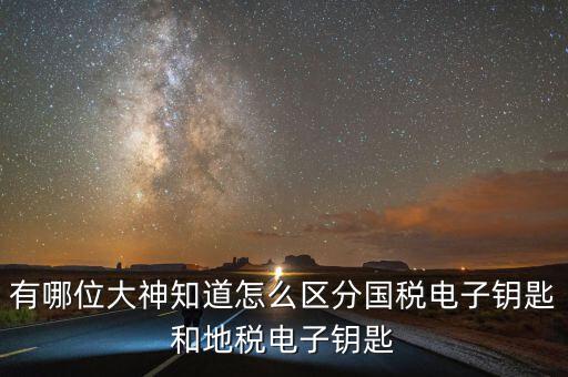 國稅電子鑰匙是什么，稅務密鑰是什么東西是數字證書嗎