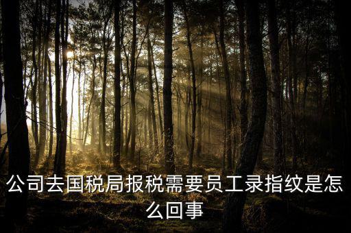 稅務局采集指紋干什么，指紋采集器是干什么用的