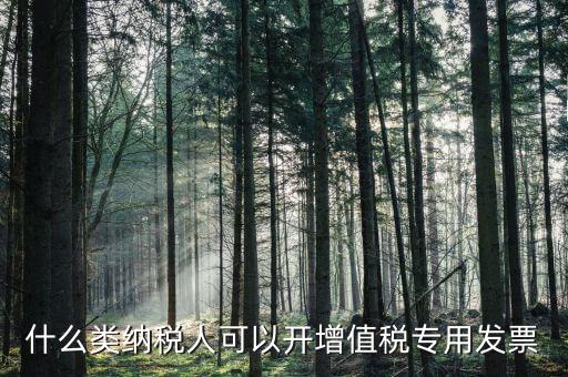 什么類納稅人可以開(kāi)增值稅專用發(fā)票