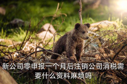 注銷稅盤需要什么資料，新公司零申報(bào)一個(gè)月后注銷公司消稅需要什么資料麻煩嗎