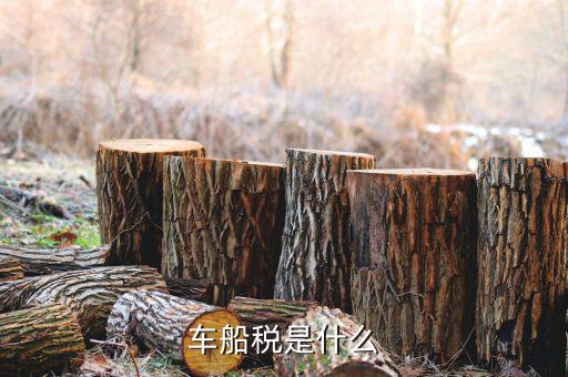 保險的車船稅是什么意思，車船稅是什么