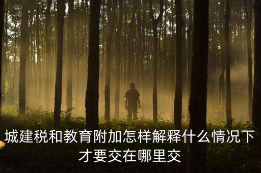什么時(shí)候有教育費(fèi)附加，子女教育專項(xiàng)附加扣除的起始時(shí)間