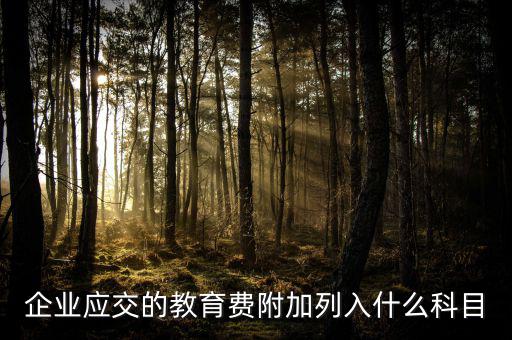 教育費(fèi)附加干什么，教育費(fèi)附加代表什么意思