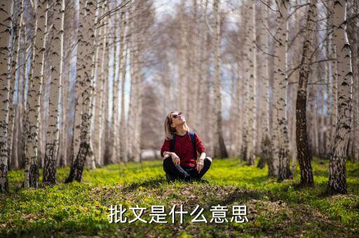 免稅批文是什么，批文是什么意思