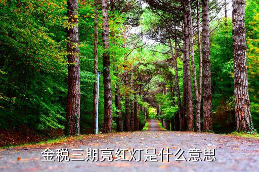 什么是金穗三期，金稅三期是什么意思