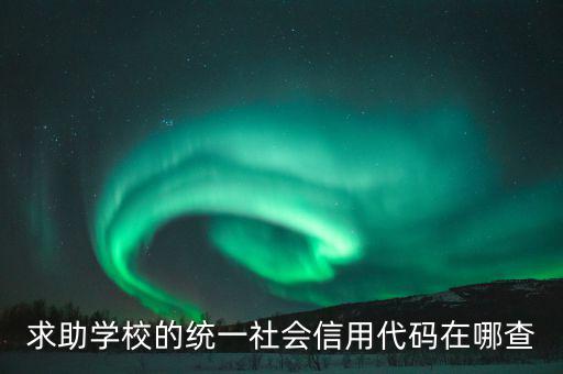 學(xué)校的社會(huì)信用代碼是什么東西，求助學(xué)校的統(tǒng)一社會(huì)信用代碼在哪查