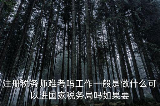 什么是稅務(wù)師，注冊稅務(wù)師能干什么待遇怎么樣